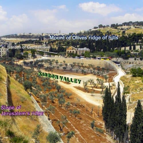 Map: Mount of Olives