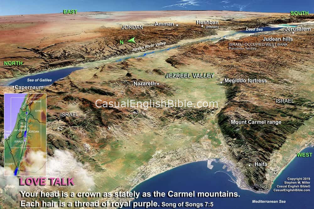 Map: Map of Mount Carmel