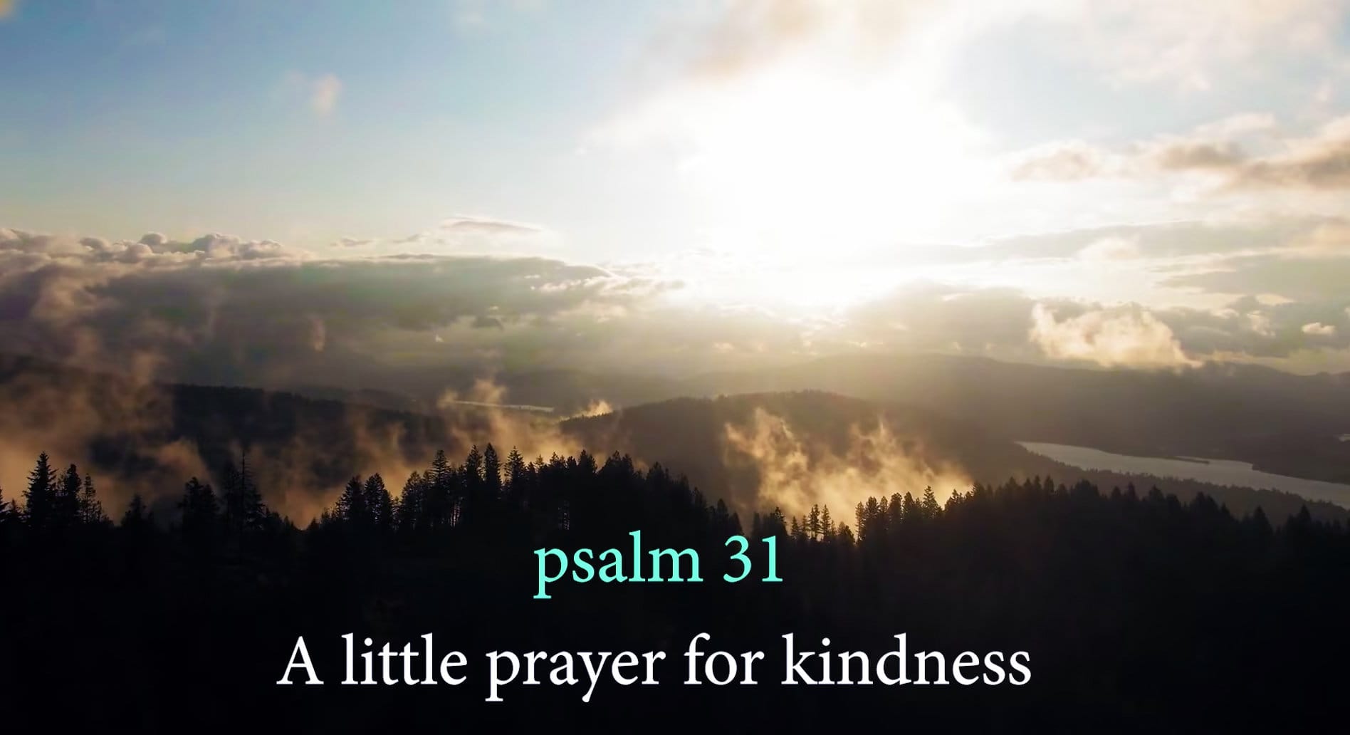 video: Video: A little prayer for kindness