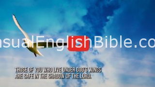 link to video reading of Psalm 91