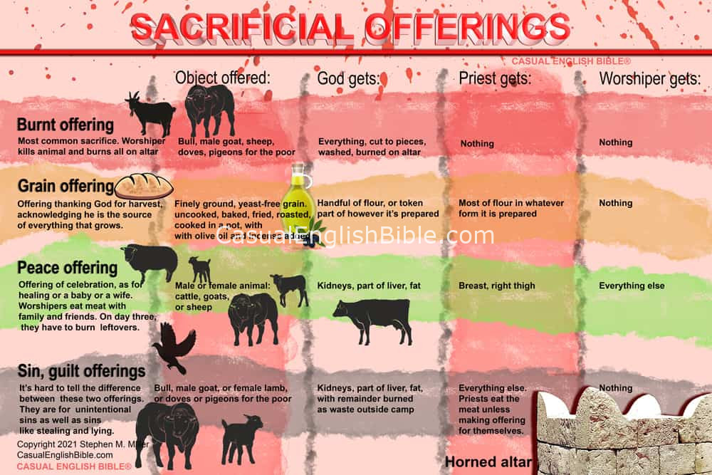 chart of sacrifices in Leviticus