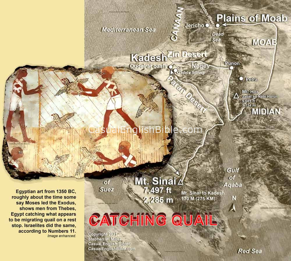 Map: Egyptians catching quail