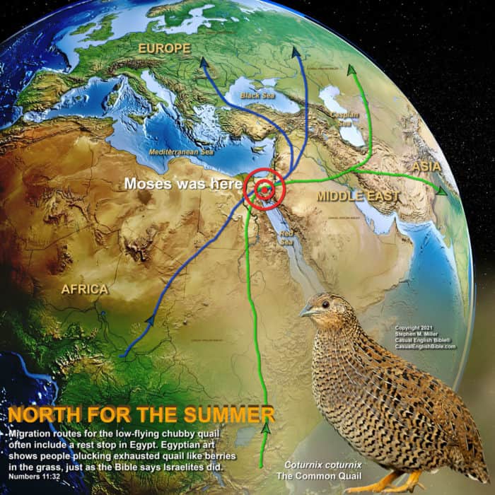 Map of quail route over Exodus route Map of quail route over Exodus route