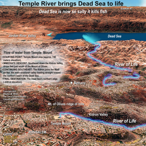 Map of the river Ezekiel said he saw flowing from the Jerusalem Temple to the Dead Sea.